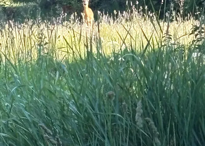 Innature Haurholm * Lønstrup